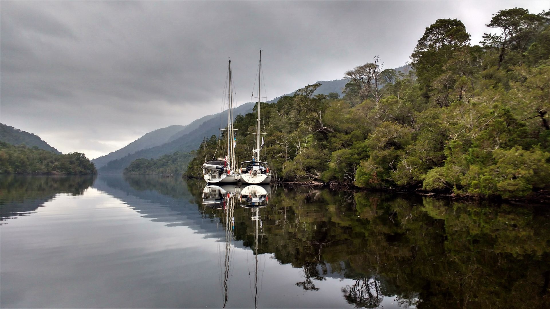 Gordon River cruising group