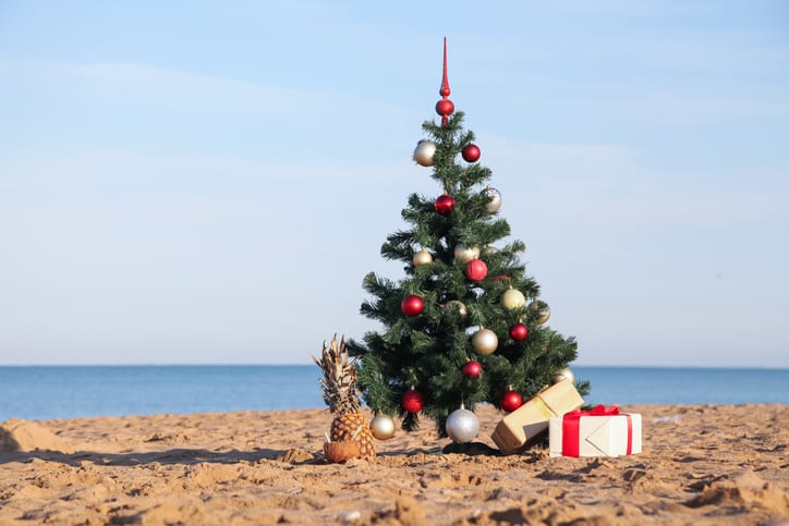 christmas tree on the beach